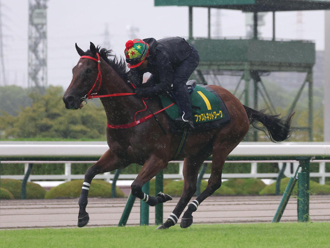 阪神競馬場の芝コースで追い切るファストネットワーク（撮影・白石智彦）