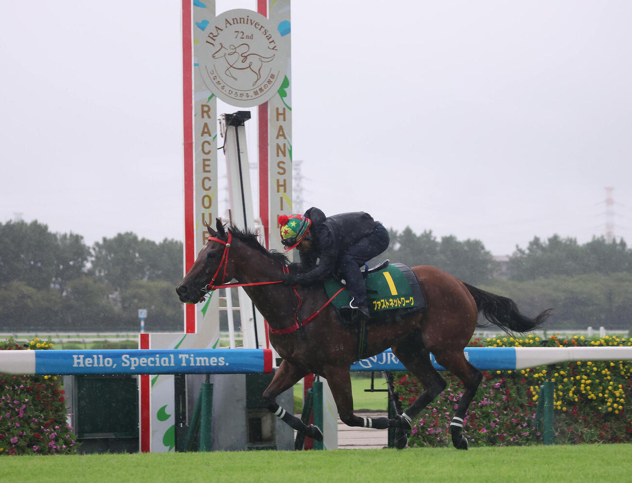 阪神競馬場の芝コースで追い切るファストネットワーク（撮影・白石智彦）