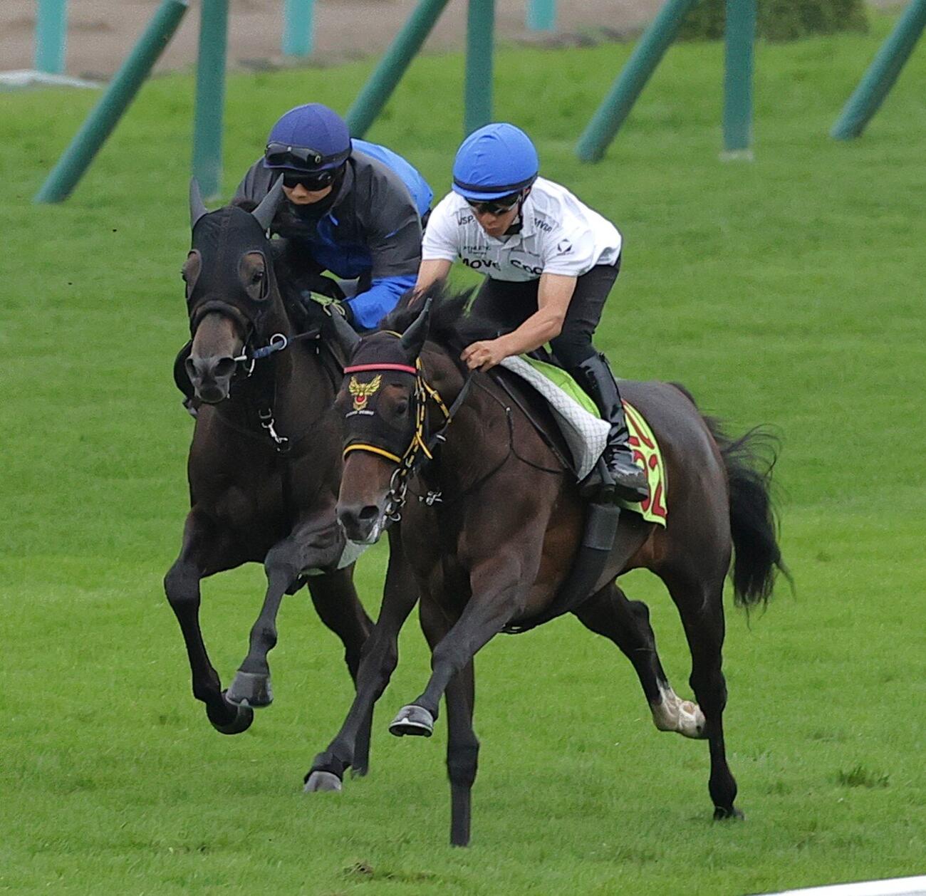 2日、佐々木大輔騎手を背に芝コースで併せ馬で追い切られるコスモハナミズキ（左）