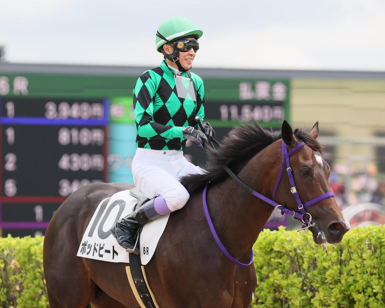 中山6R、2歳新馬戦を制したポッドビートと武豊騎手（撮影・丹羽敏通）
