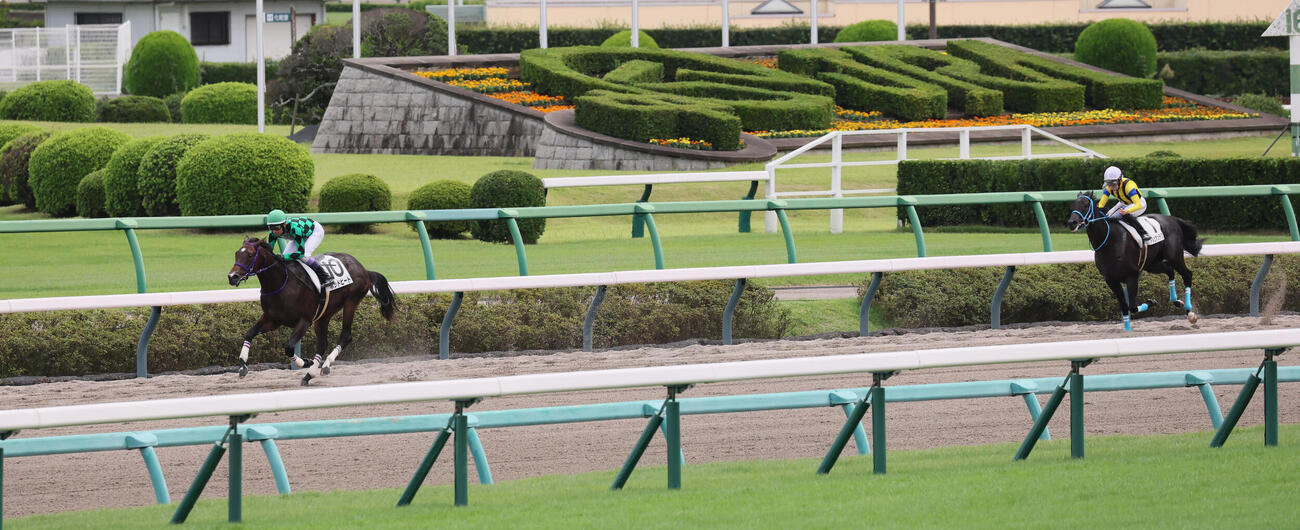 中山6R、2歳新馬戦を圧勝したポッドビートと武豊騎手（撮影・丹羽敏通）