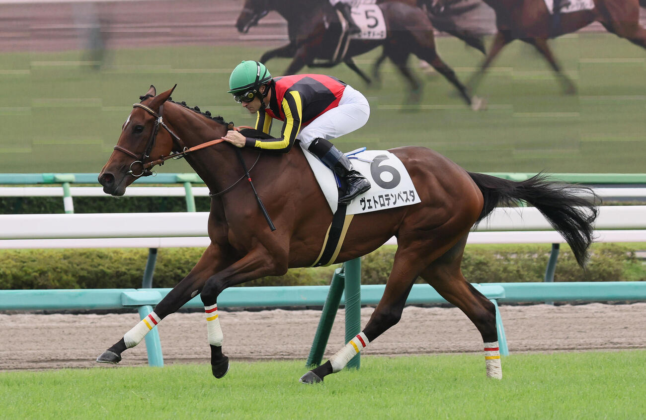 中山5R、2歳新馬戦を快勝したヴェトロテンペスタとクリストフ・ルメール騎手（撮影・丹羽敏通）