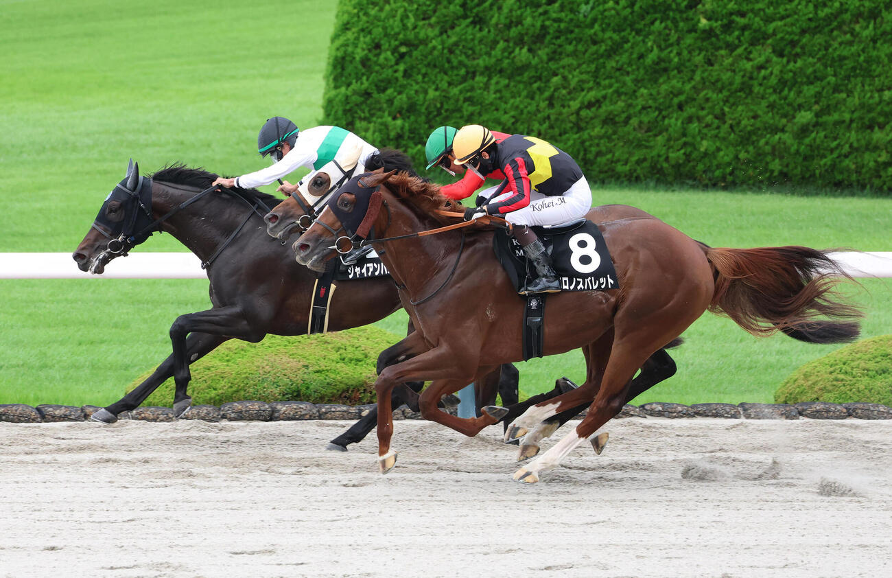 出石特別をジャイアンバローズで制した岩田望来騎手はJRA年間100勝を達成（撮影・白石智彦）