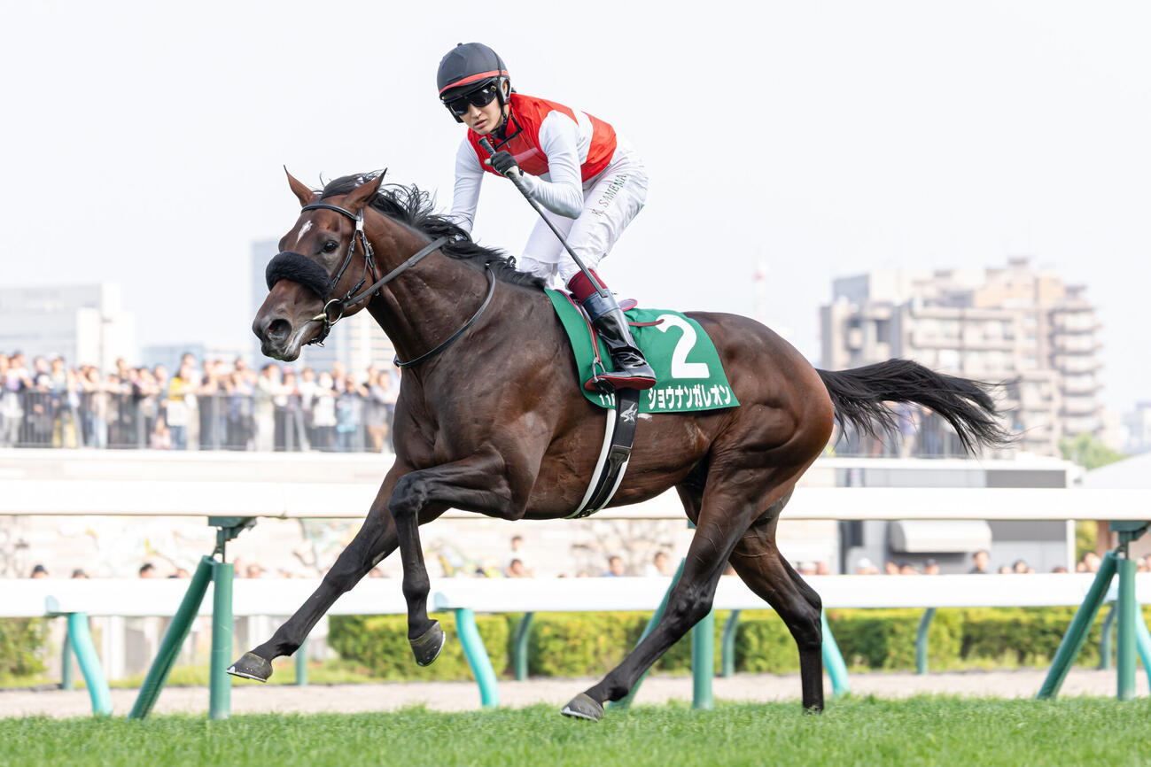 札幌2歳Sを快勝したショウナンガレオンと鮫島駿騎手