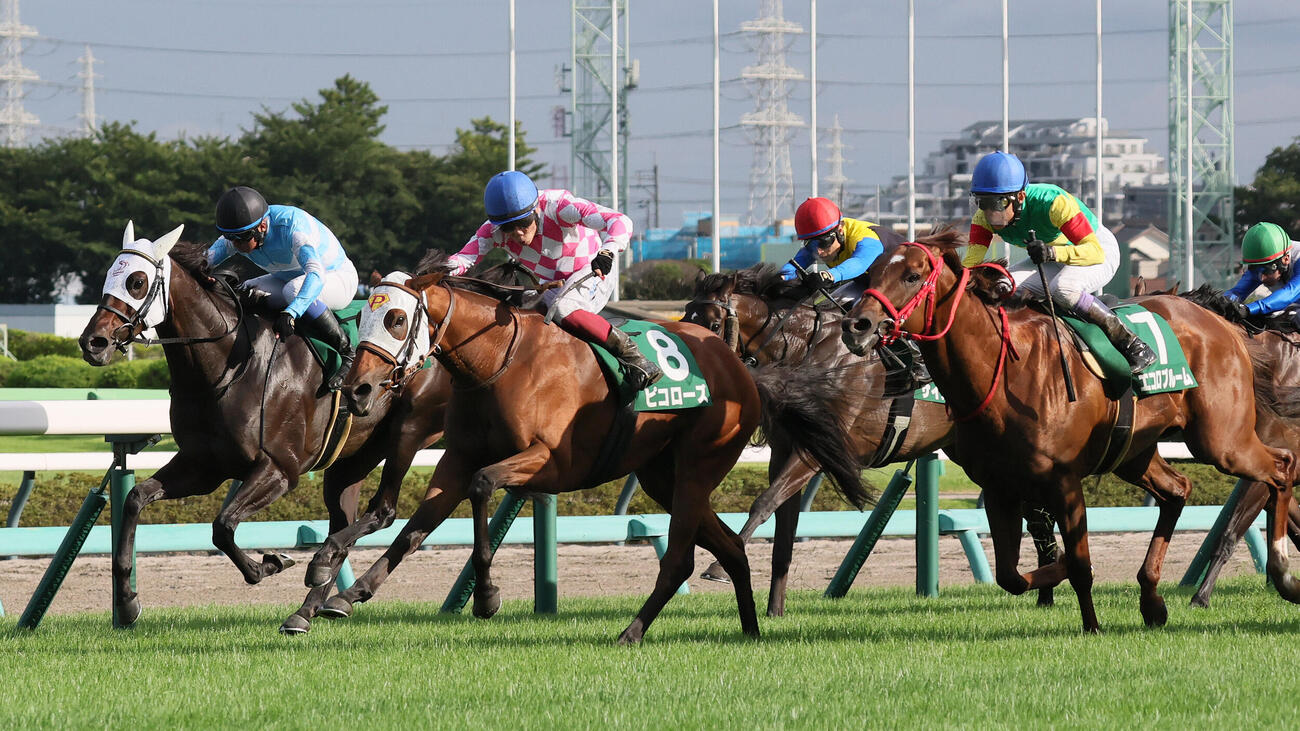 ピコローズが制した京成杯AH（撮影・丹羽敏通）