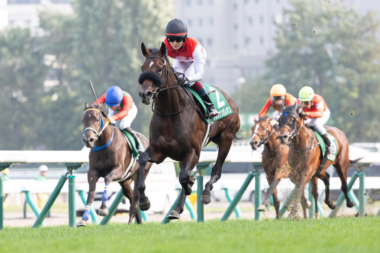 札幌2歳Sを快勝したショウナンガレオンと鮫島駿騎手（中央）