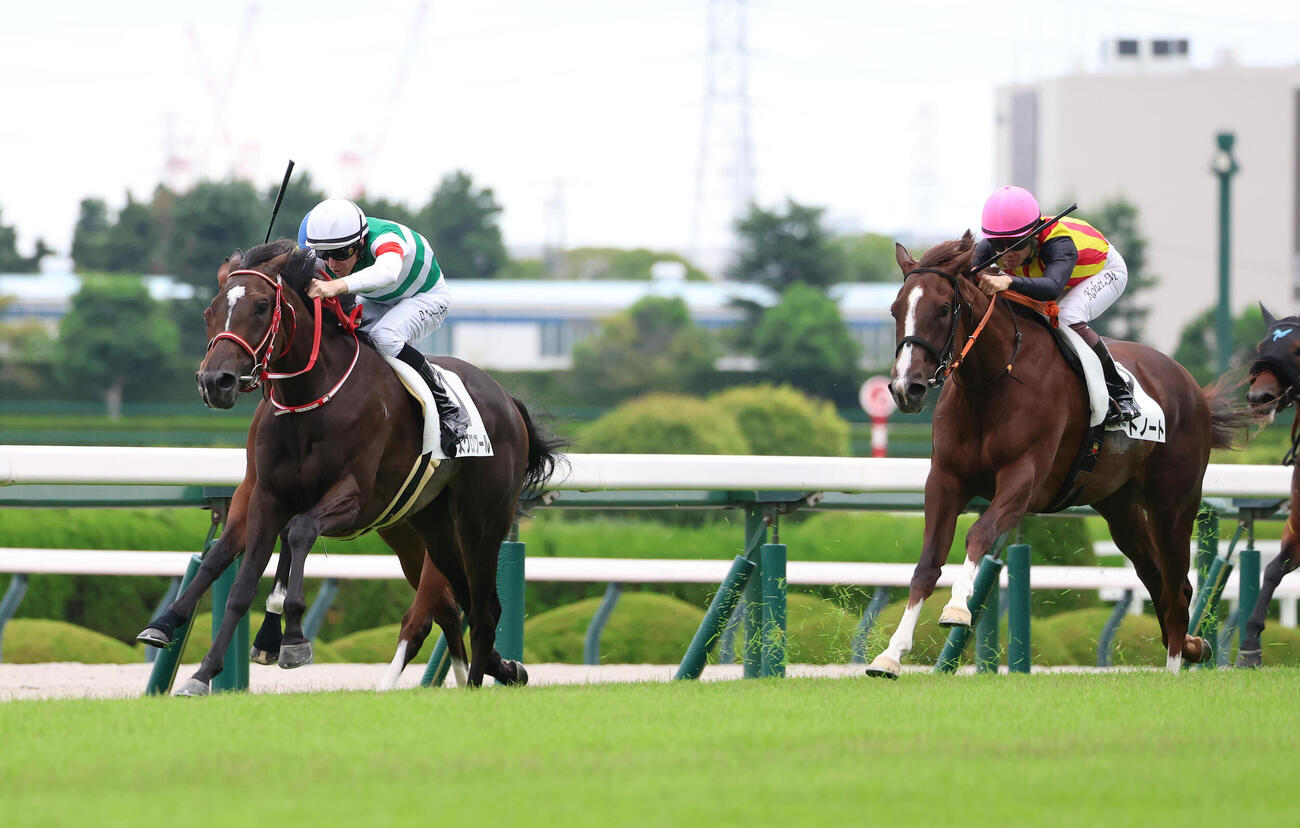 阪神5R、直線抜け出して新馬戦を制したリスグロワール（左）（撮影・白石智彦）