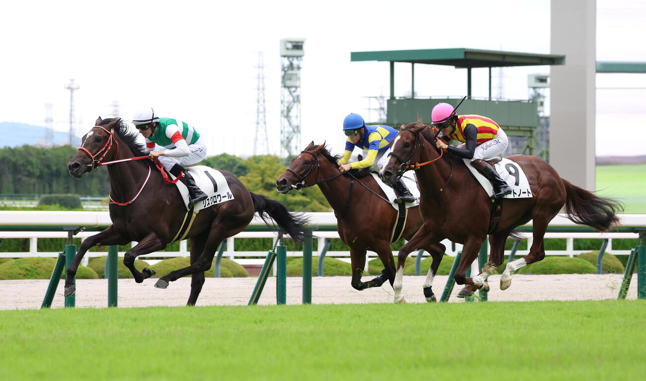 阪神5R、新馬戦で2着に敗れたハートノート（右）（撮影・白石智彦）