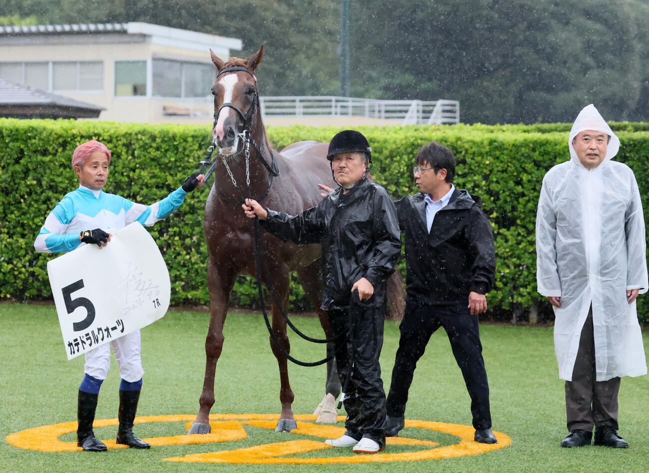 中山7R、3歳未勝利戦を制したカテドラルクォーツの口取りをする岩田康誠騎手（撮影・丹羽敏通）