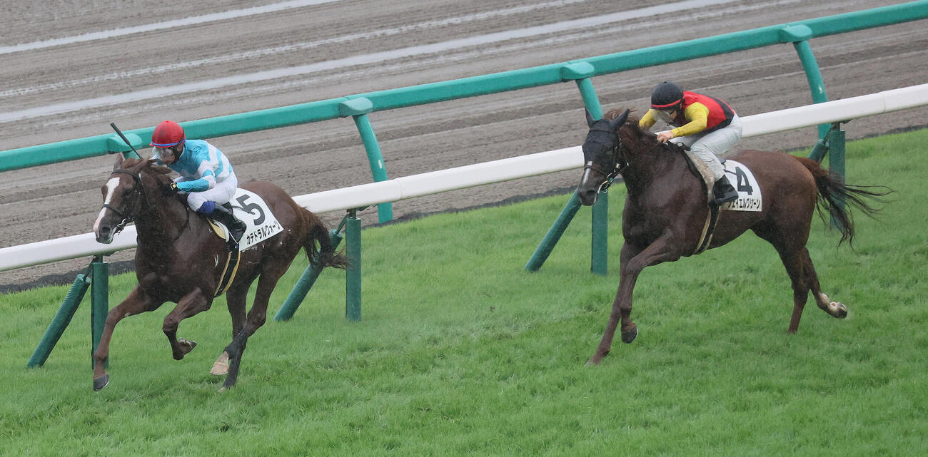 中山7R、3歳未勝利戦を制したカテドラルクォーツと岩田康誠騎手（左）。右は2着ジェイエルグリーン
