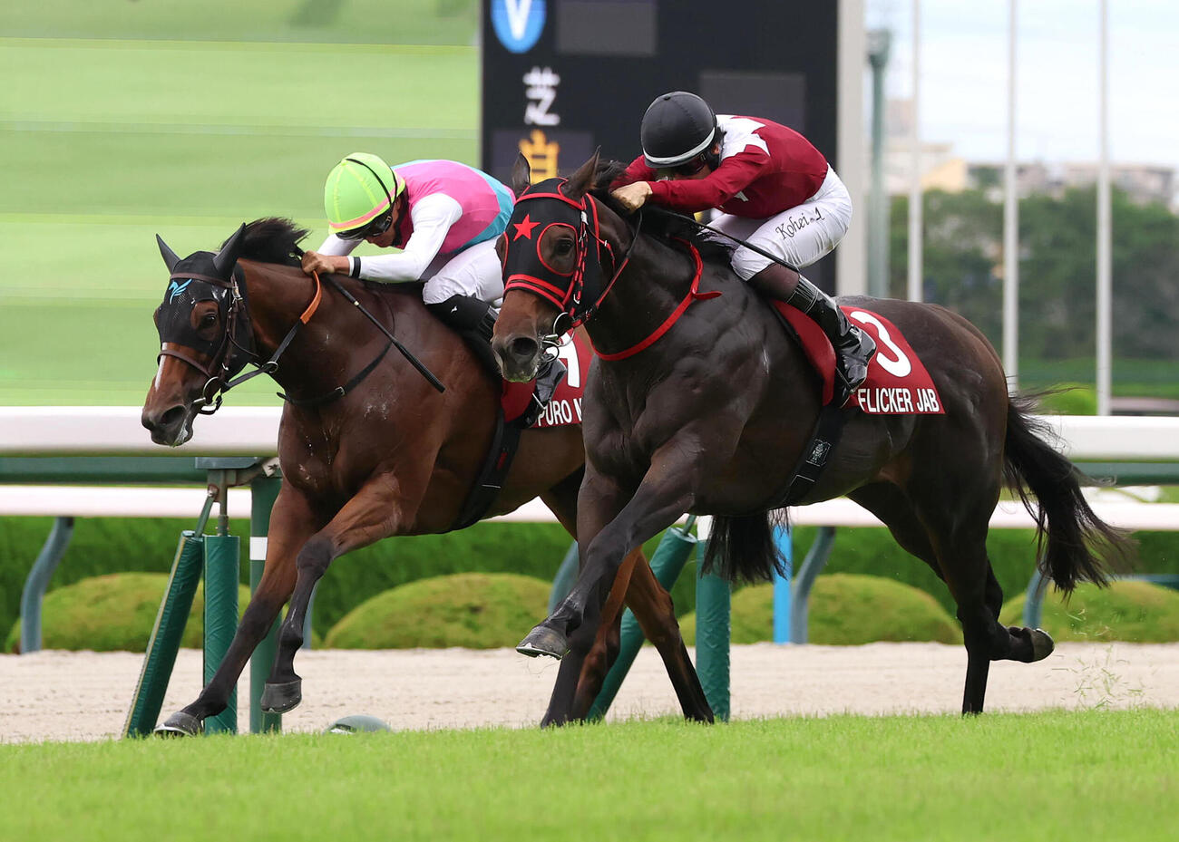 阪神11R、逃げたピューロマジック（左）を差し切ってセントウルSを制したフリッカージャブ（撮影・白石智彦）