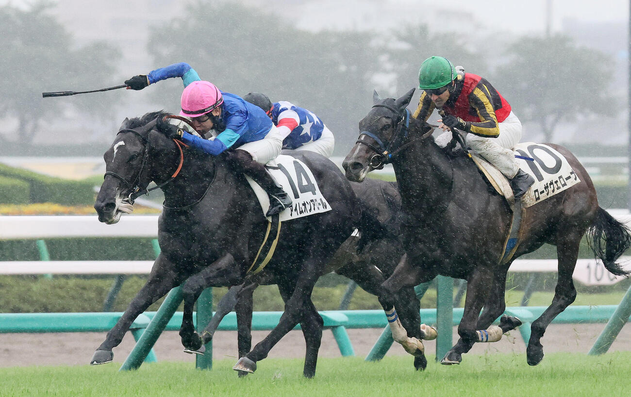中山5Rび2歳新馬戦を制したアイムオンアロールと三浦皇成騎手（撮影・丹羽敏通）