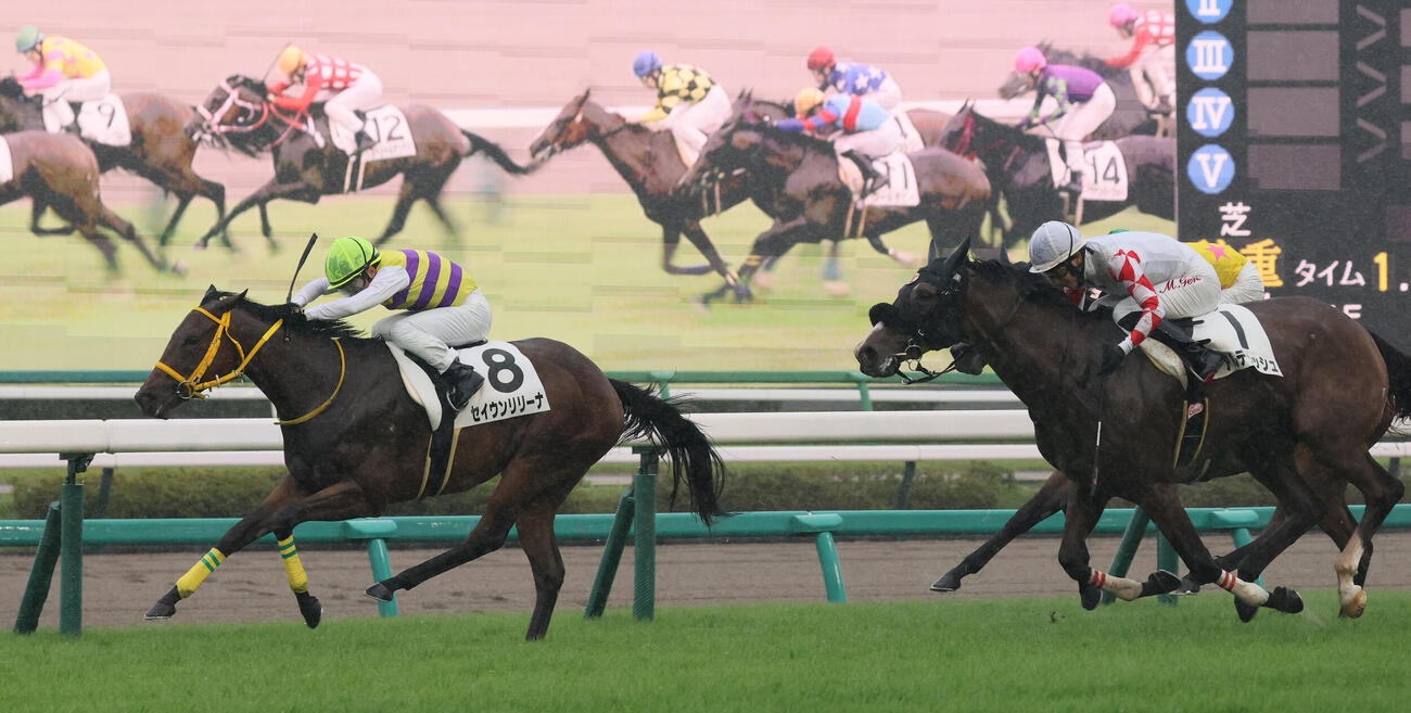6日中山2Rの2歳未勝利戦を制したセイウンリリーナ