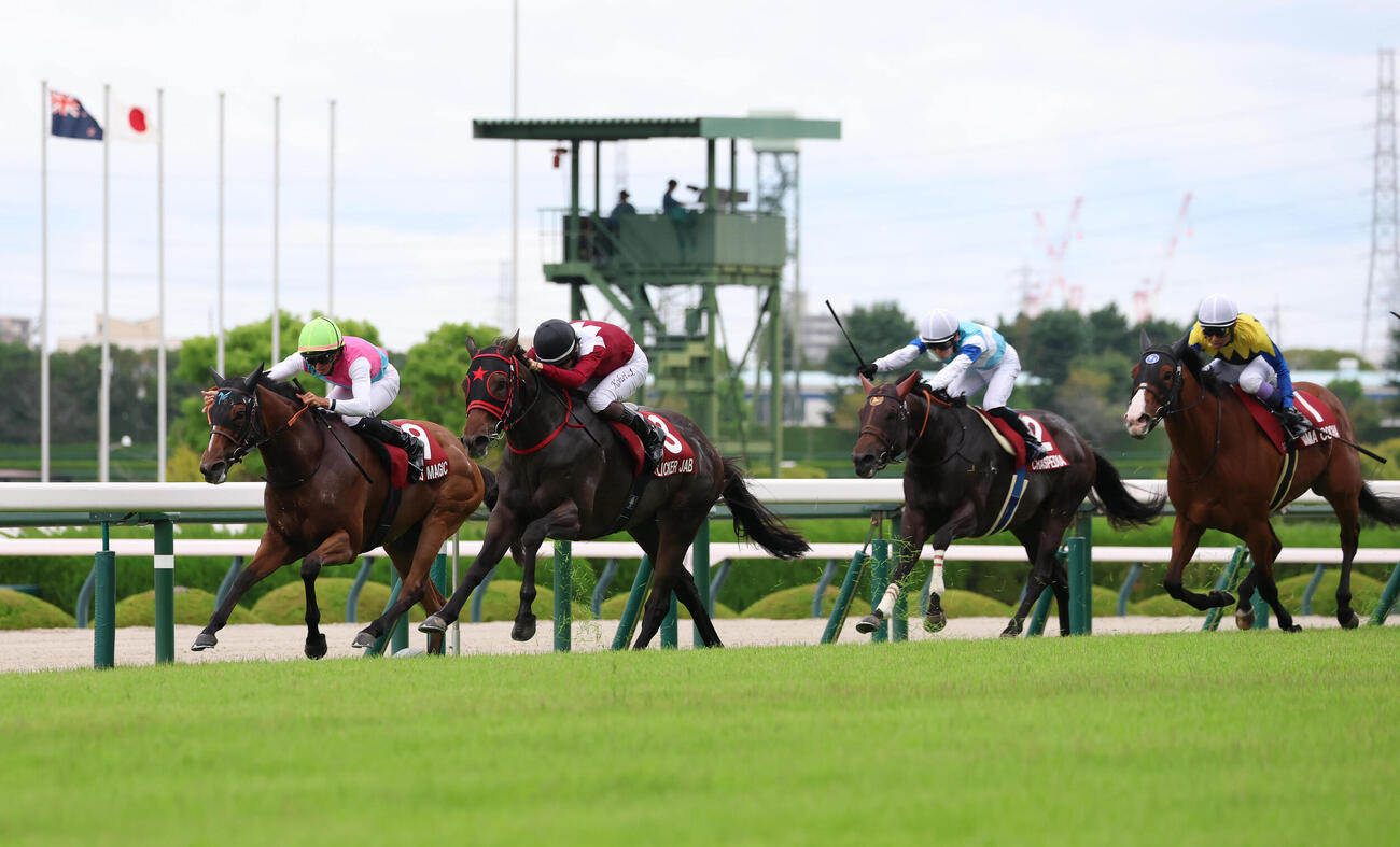 フリッカージャブが制したセントウルS（撮影・白石智彦）