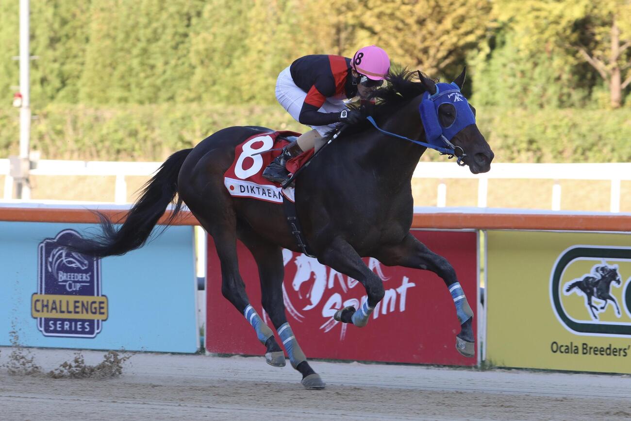 コリアCを制したディクテオンと矢野貴之騎手（撮影・牛山基康）