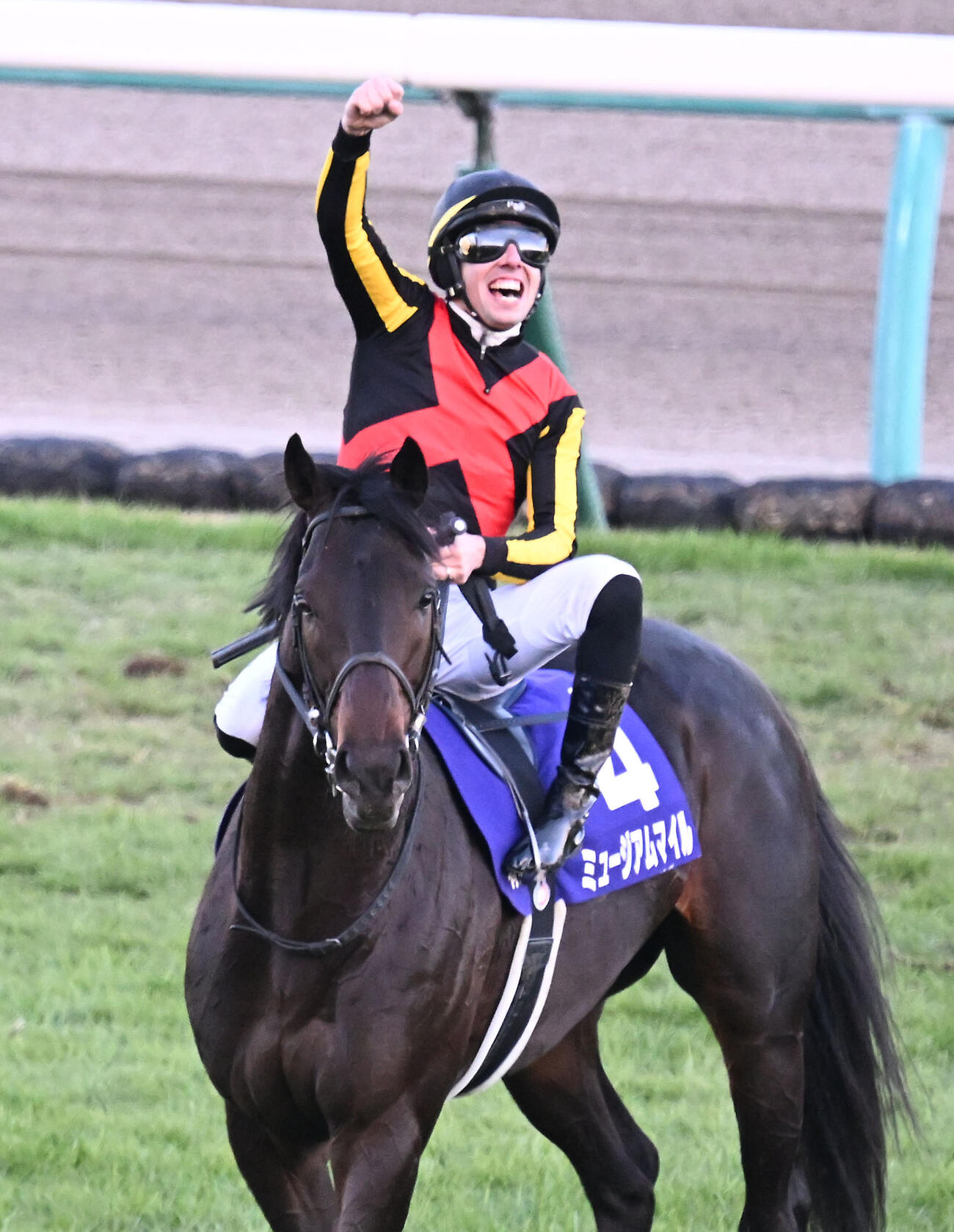 有馬記念をミュージアムマイルで制し、鞍上で喜ぶC・デムーロ騎手（2025年12月28日撮影）