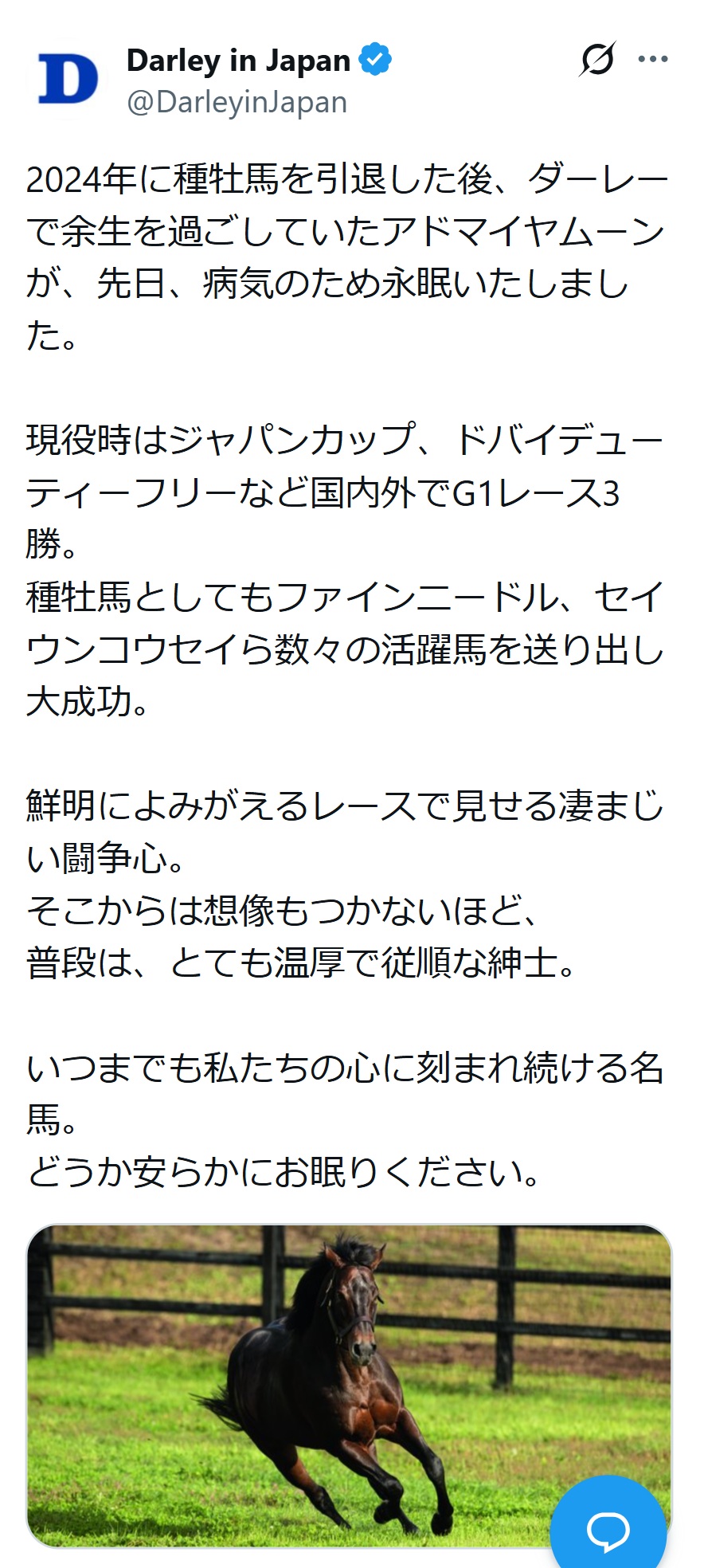 ダーレージャパンの公式Xから