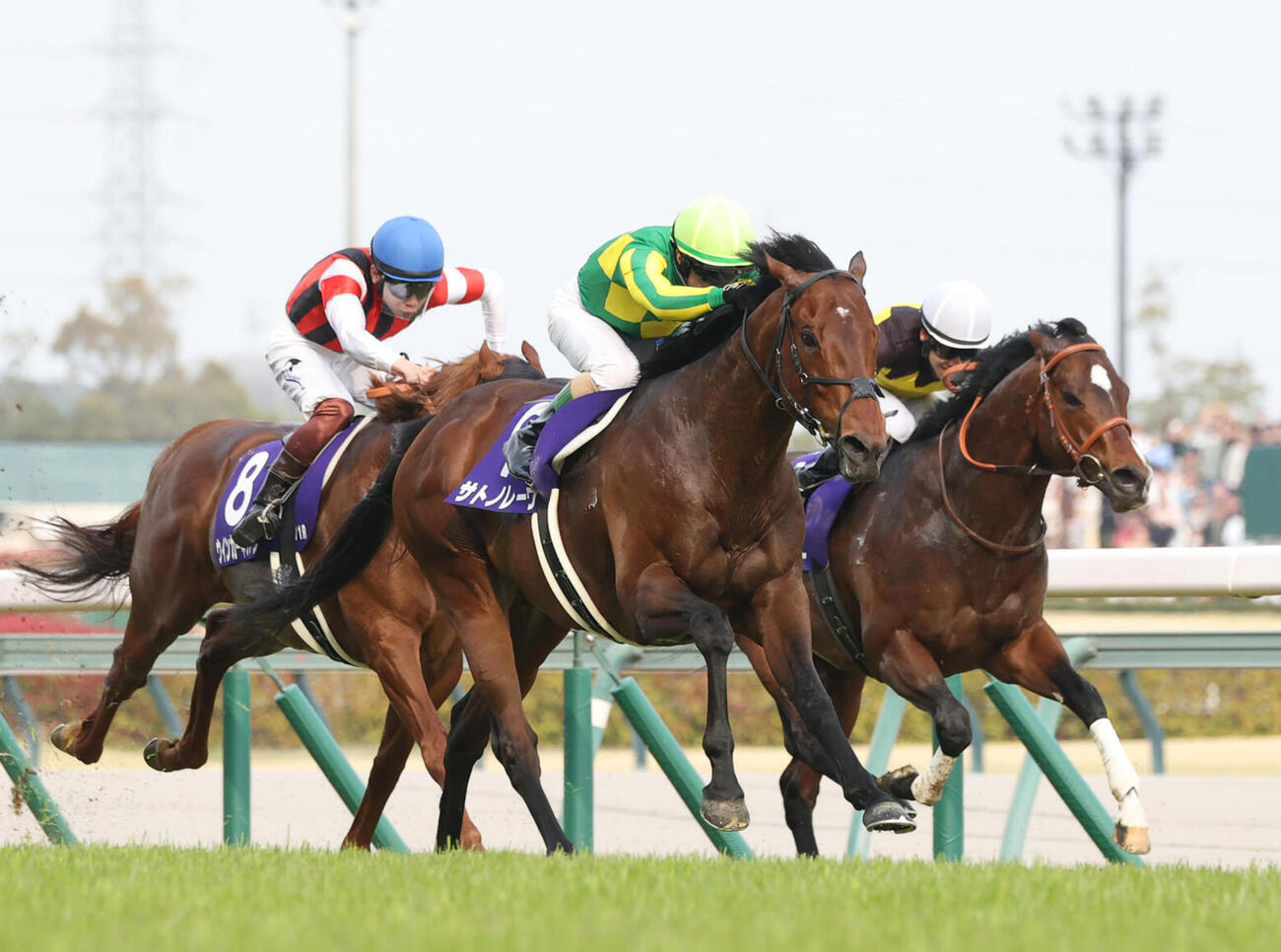 高松宮記念を連覇したサトノレーヴ（中央）