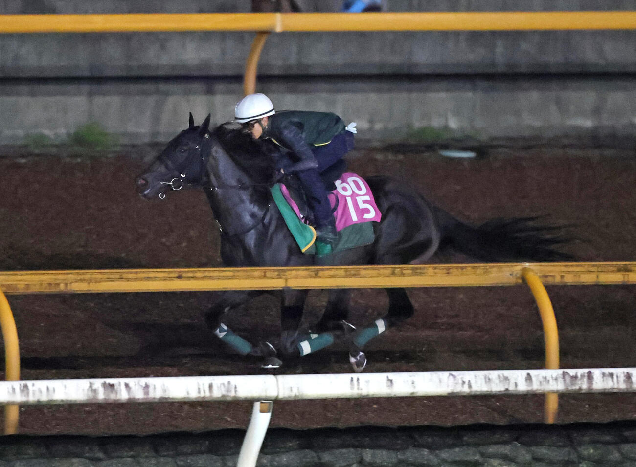 2日、1週前追い切りを行うモンローウォーク
