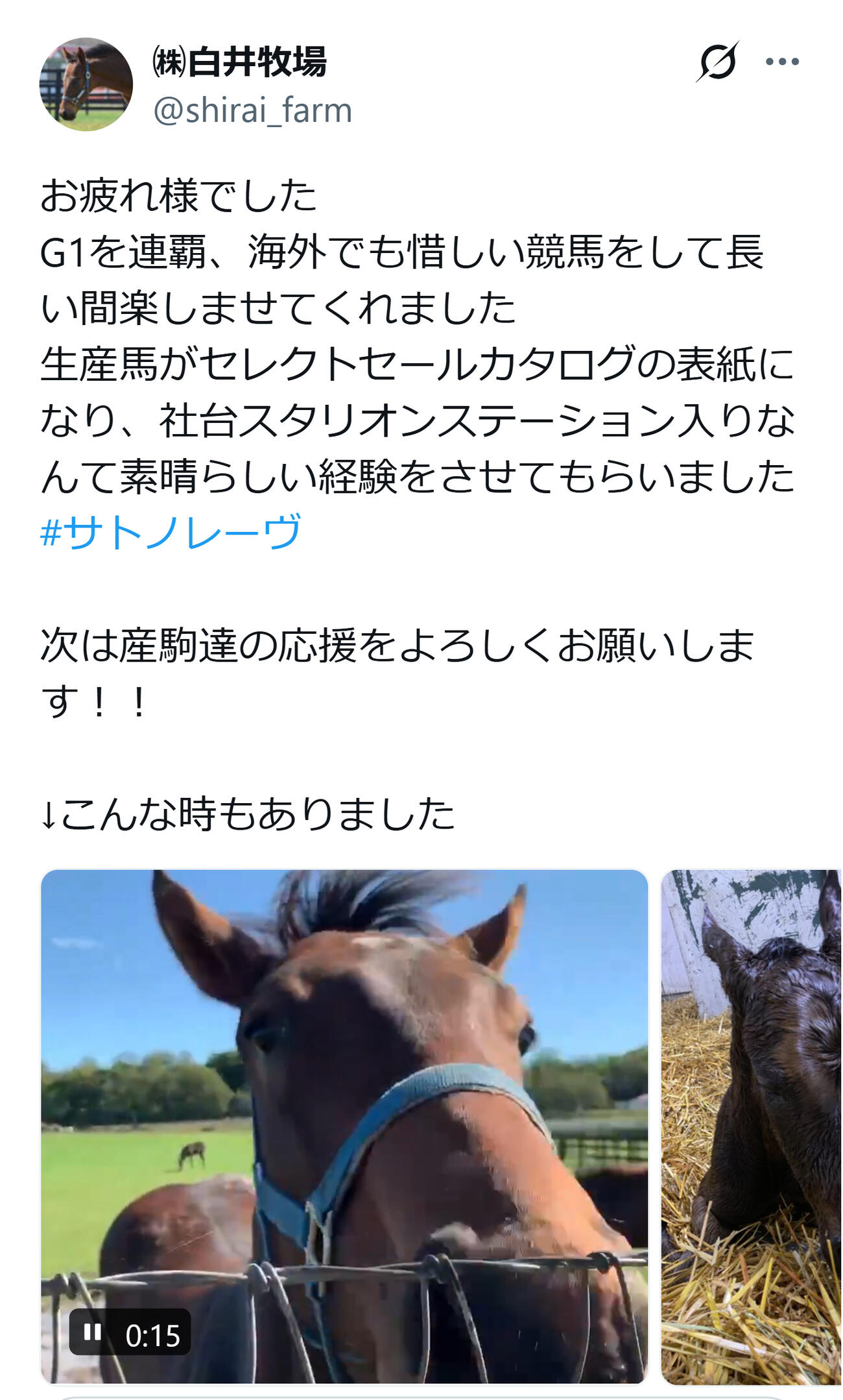 白井牧場の公式Xから