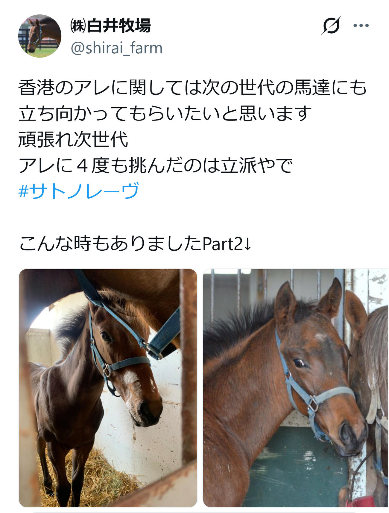 白井牧場の公式Xから