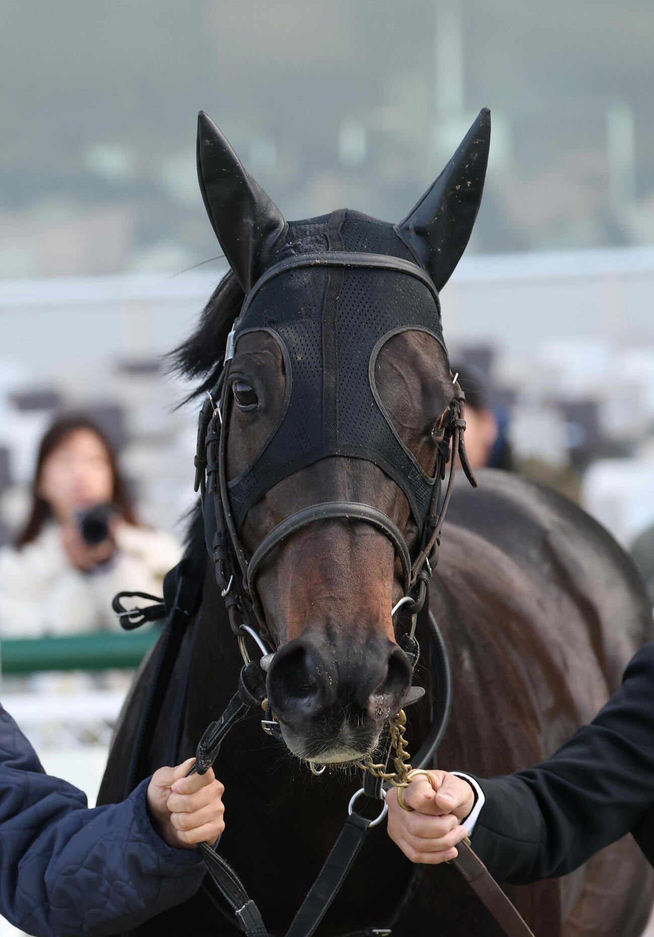 ファインライン（2026年3月撮影）