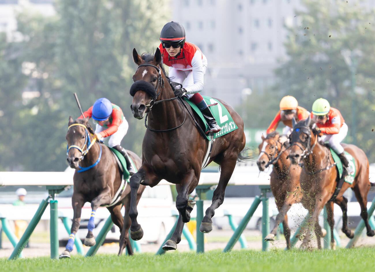 札幌2歳Sを快勝したショウナンガレオン