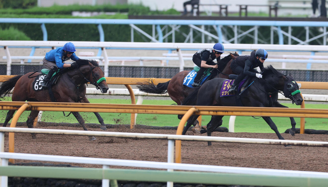 松山弘平騎手を背にCウッドを3頭併せで追い切るロブチェン（右）（撮影・白石智彦）
