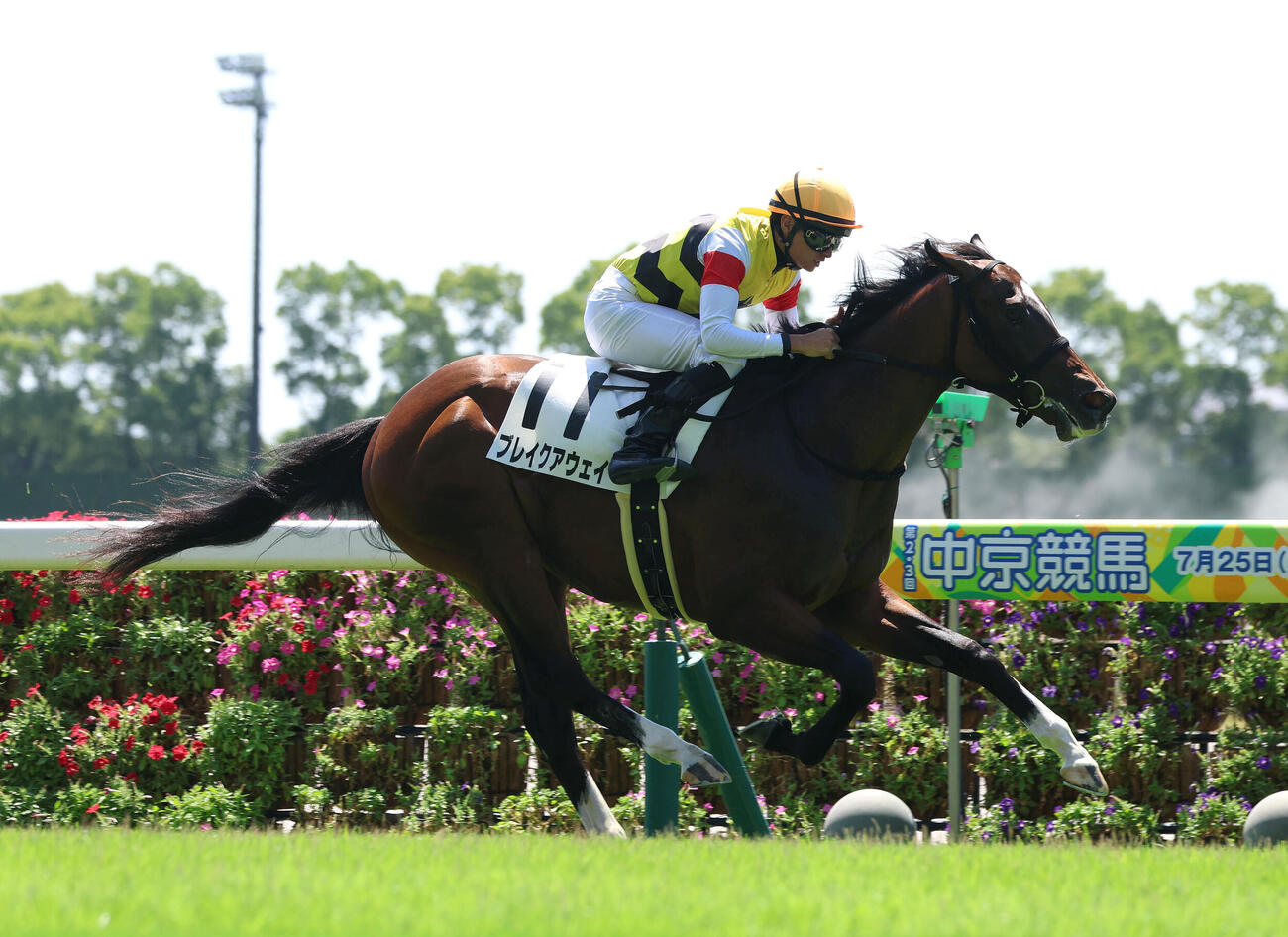 ブレイクアウェイ（2026年7月25日撮影）