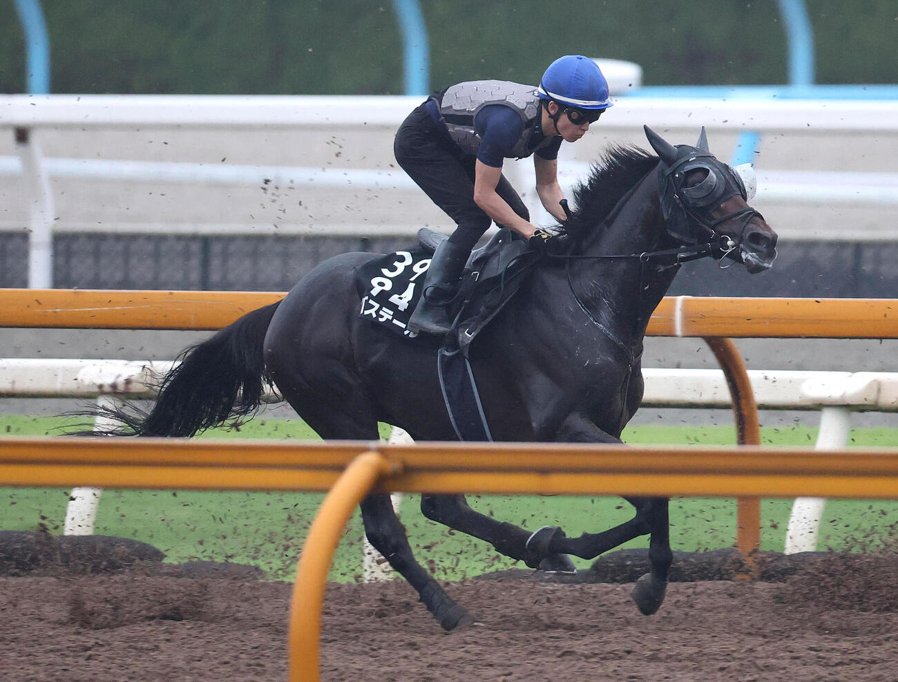 バステール（2026年9月9日撮影）