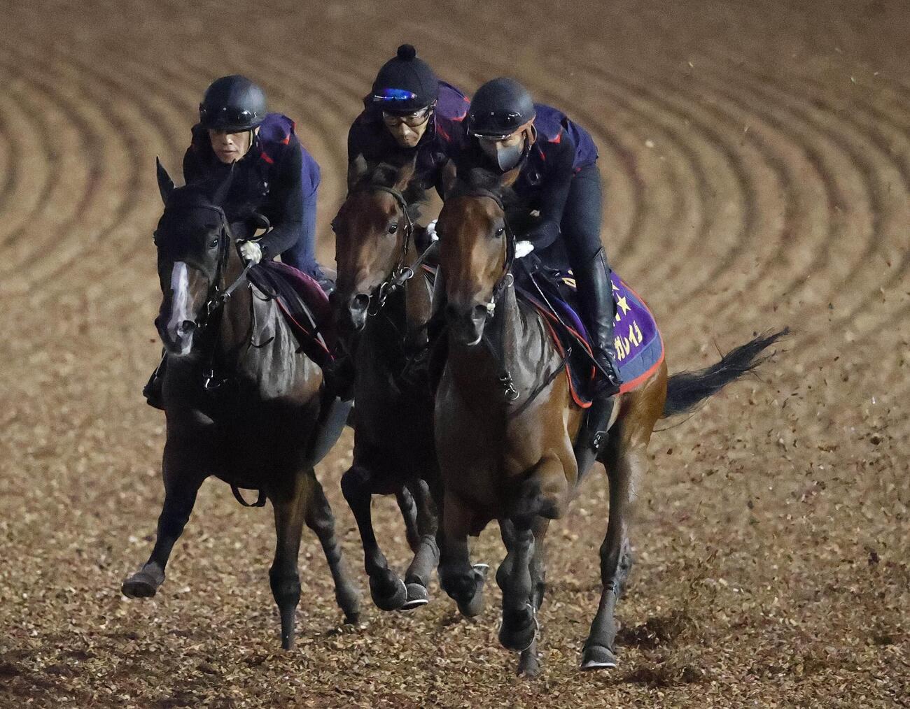オールカマー　Wコースで1週前追い切りを行ったレガレイラ（右）、中央はジュベルシャムス、左はルージュボヤージュ
