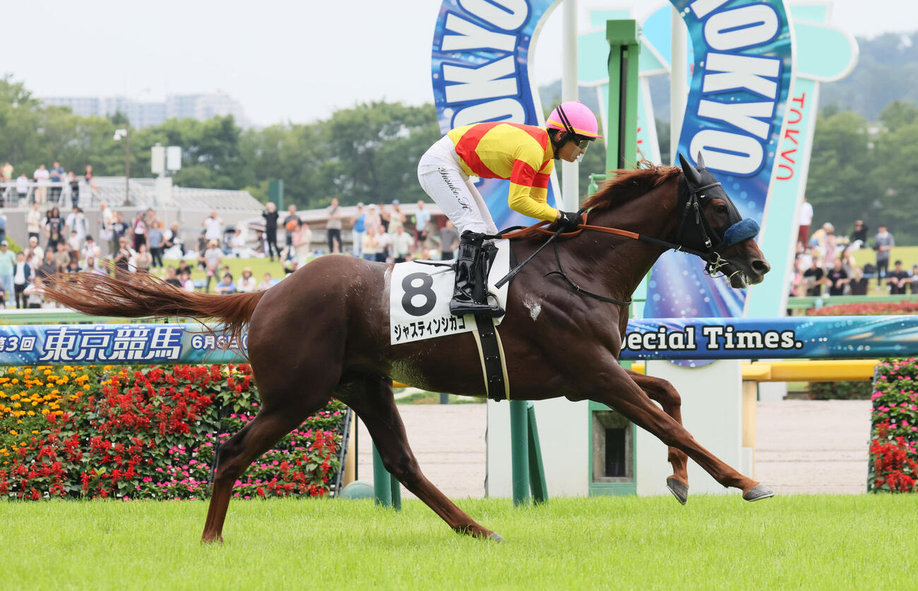 ジャスティンシカゴと原優介騎手（2026年6月撮影）