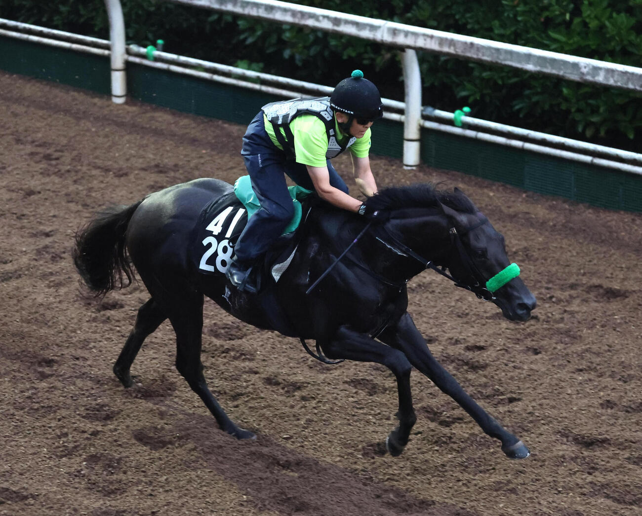 坂路を単走で追い切るサヴォアフェール