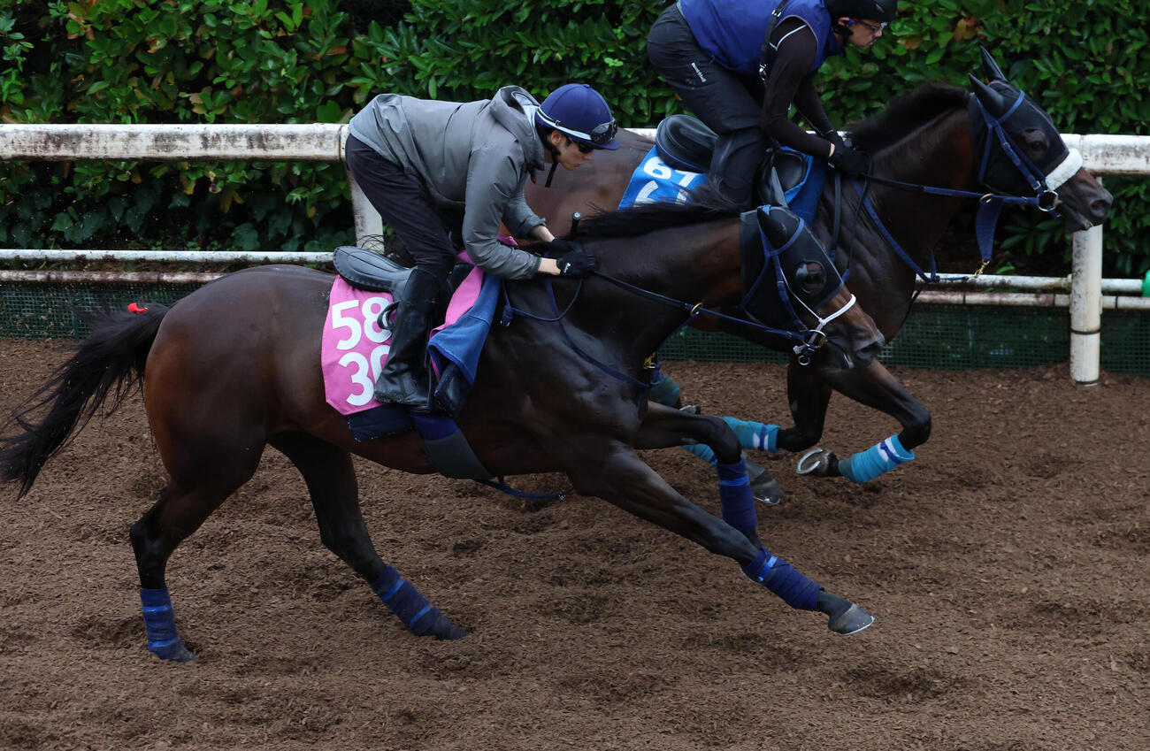 坂路を併せ馬で追い切るエンネ（手前）　