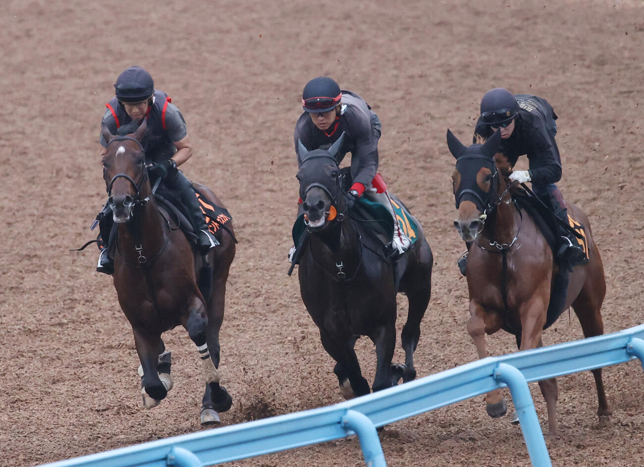 ゴーイントゥスカイ（左）はジャロロッソ（中央）、マッドゲイルと併せて追い切る（撮影・柴田隆二）