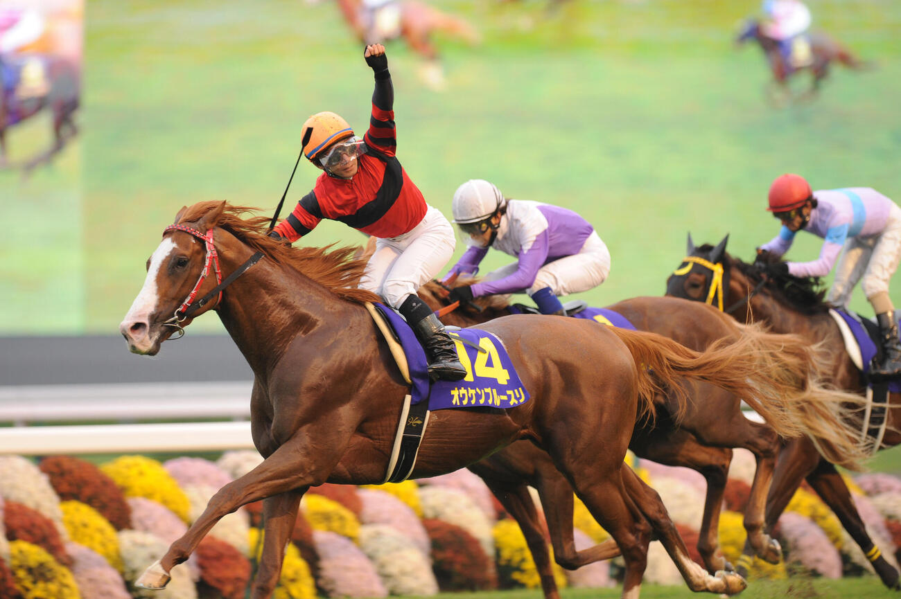 2008年10月、菊花賞を制したオウケンブルースリとガッツポーズで喜びを表す内田博騎手