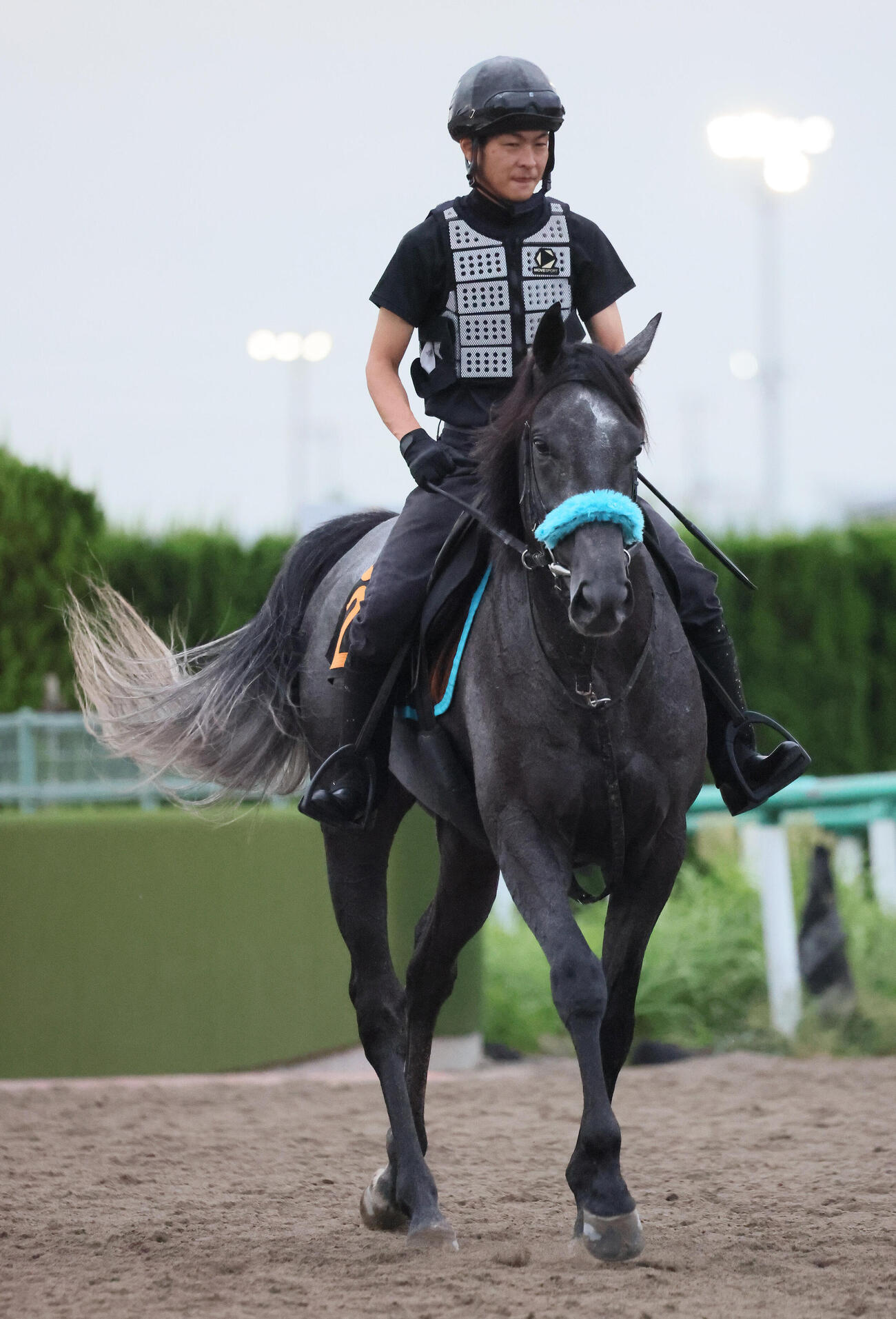 追い切りを終えて馬場を出るエリプティクカーブ（2026年9月3日撮影）