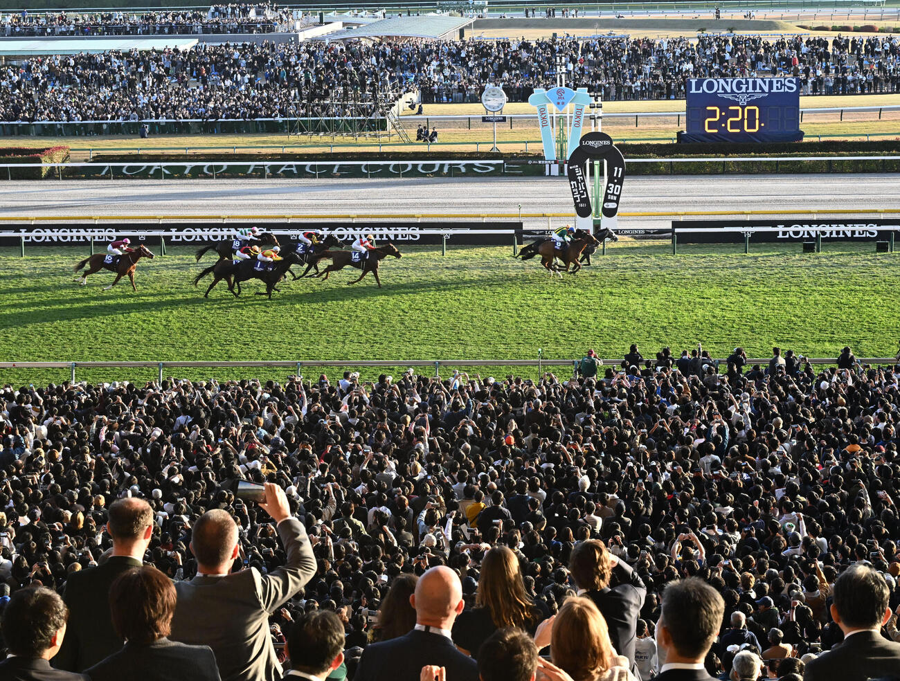 第45回ジャパンCを制したカランダガン（右手前）（2025年11月撮影）