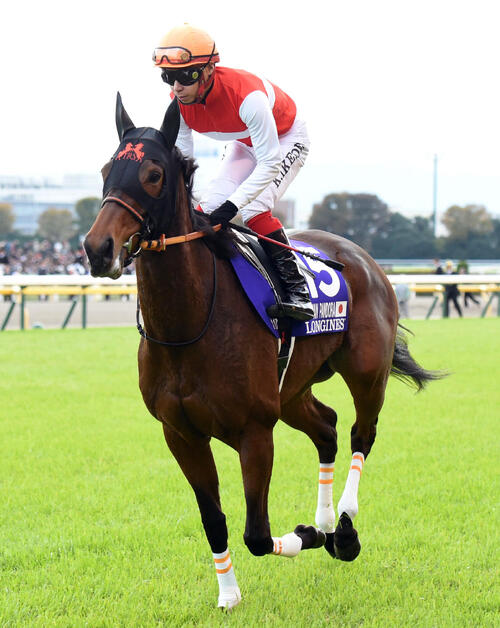 G1・2勝ショウナンパンドラの息子ショウナンバトレニがV 「能力高い