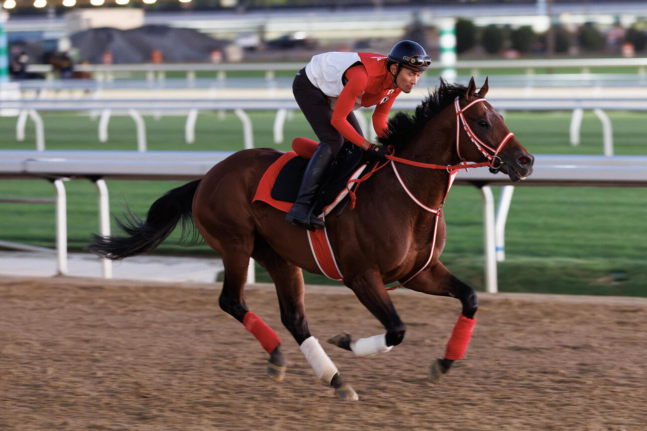 ベルモントパークで調整するフォーエバーヤング（C）Dom　Napolitano／NYRA