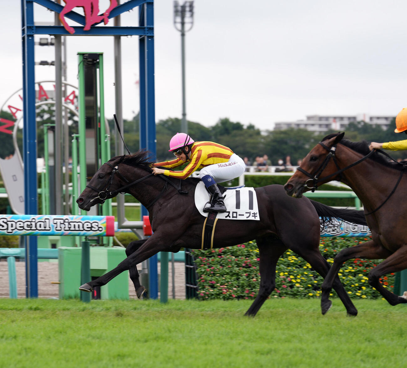 中山5R、2歳新馬戦を制したスローブギとミカエル・ミシェル騎手（撮影・小島史椰）