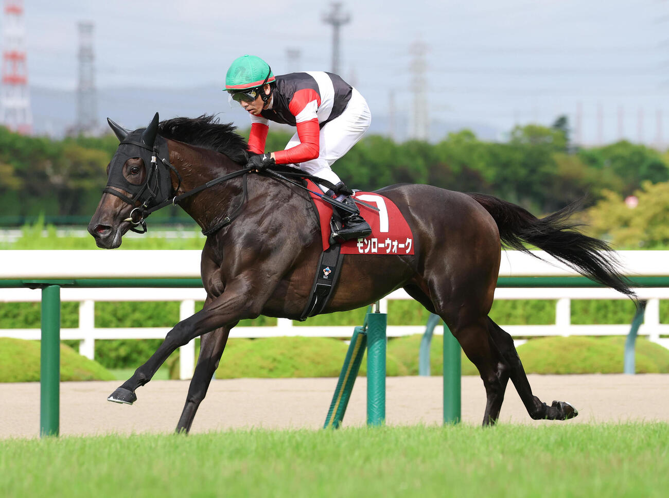 直線抜け出して無敗でローズSを快勝したモンローウォーク（撮影・白石智彦）