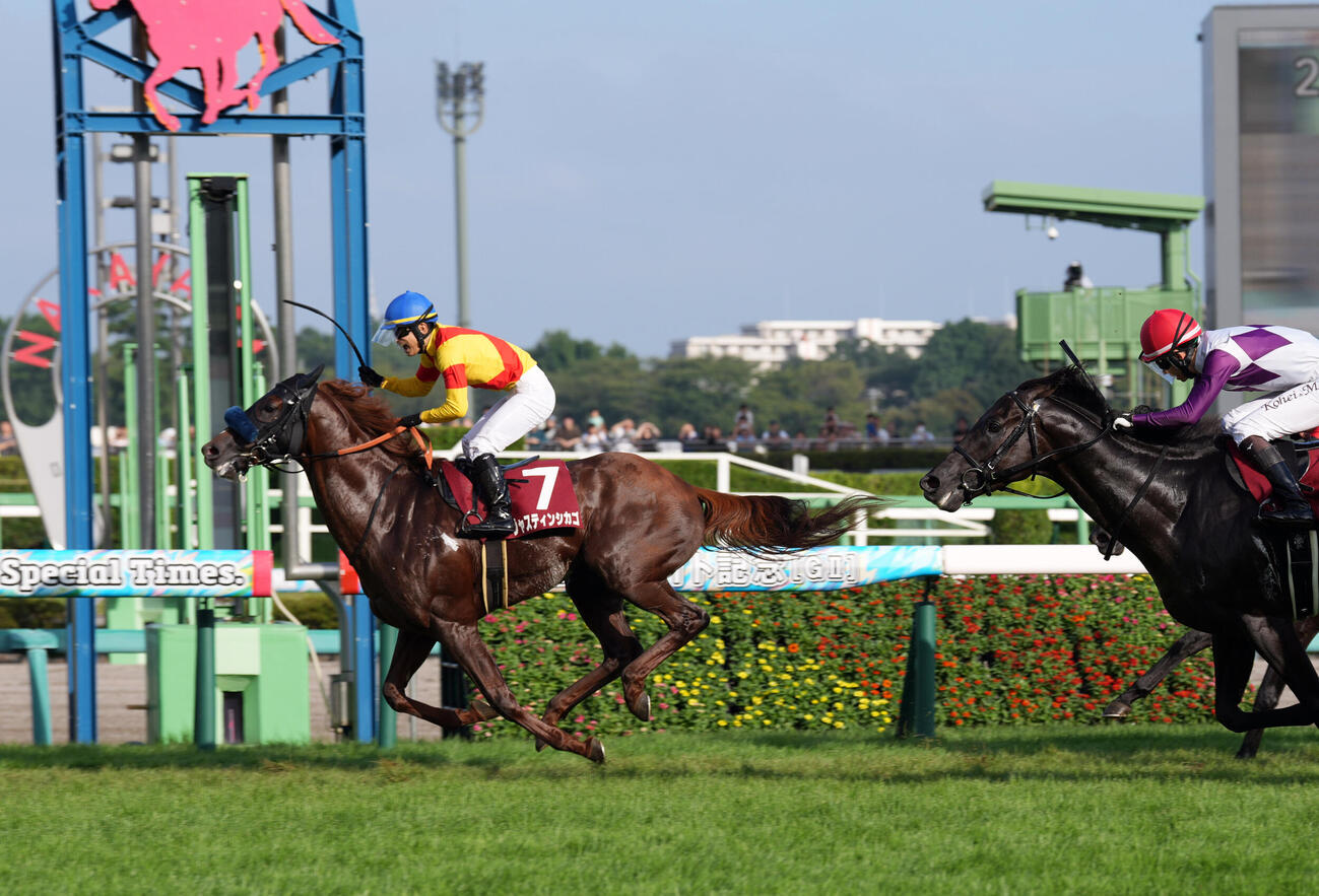 中山11R　セントライト記念を制したジャスティンシカゴと原優介騎手（撮影・小島史椰）