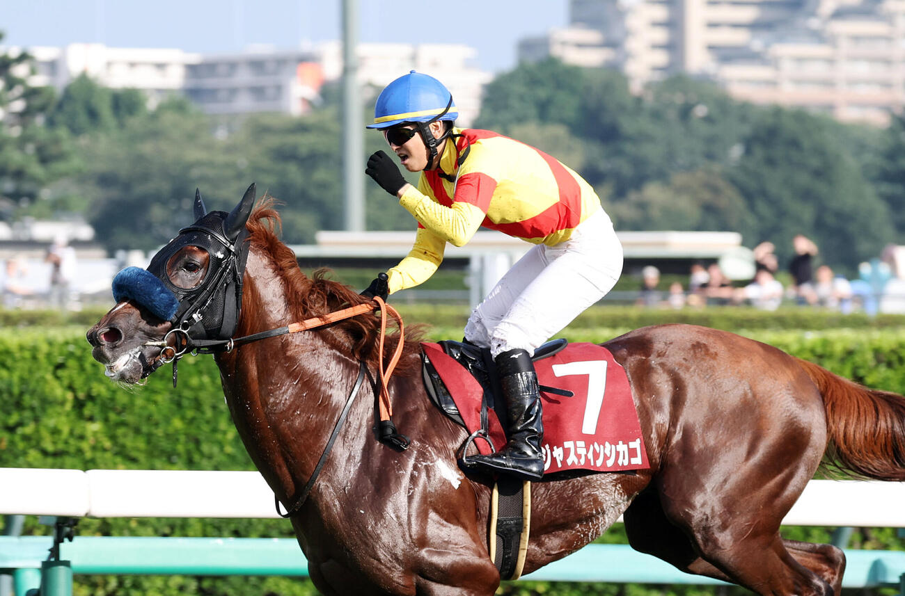 中山11R　朝日杯セントライト記念を制したジャスティンシカゴとガッツポーズする原優介騎手（撮影・鈴木正人）
