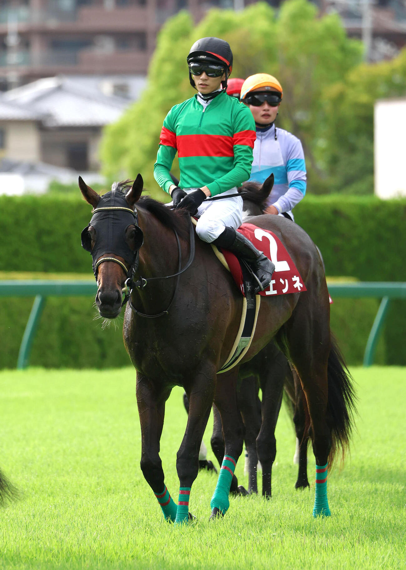 阪神11RローズS、2着に入り秋華賞の優先出走権を獲得したエンネ（撮影・白石智彦）