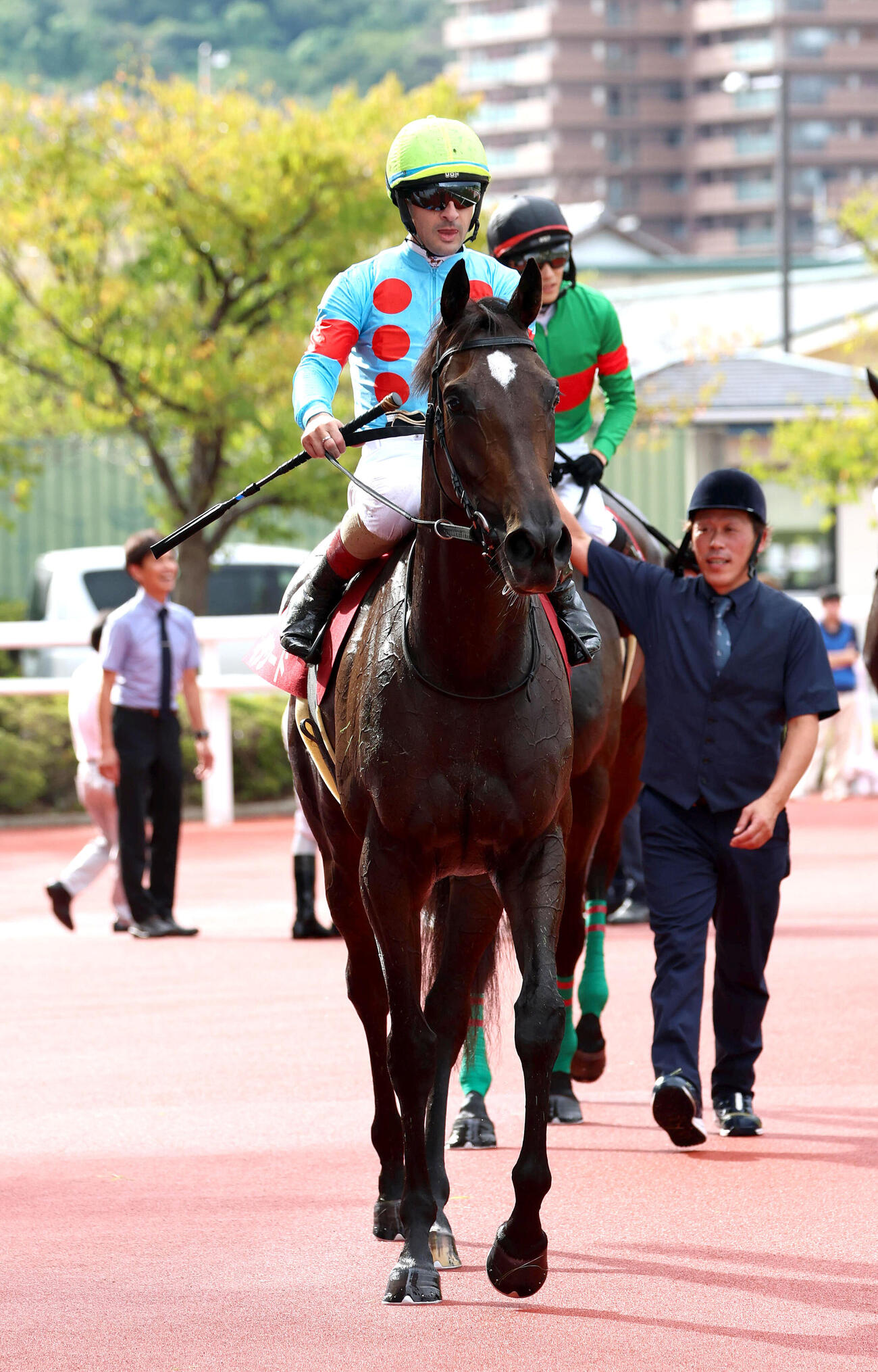 阪神11RローズS、3着に入り秋華賞の優先出走権を獲得したイクシード（撮影・白石智彦）