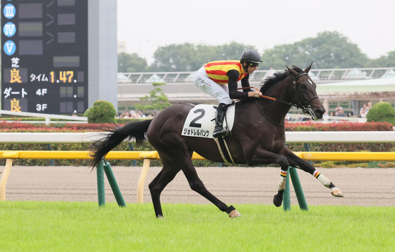 6月7日東京5R2歳新馬戦を制したジョドレルバンクとレーン騎手