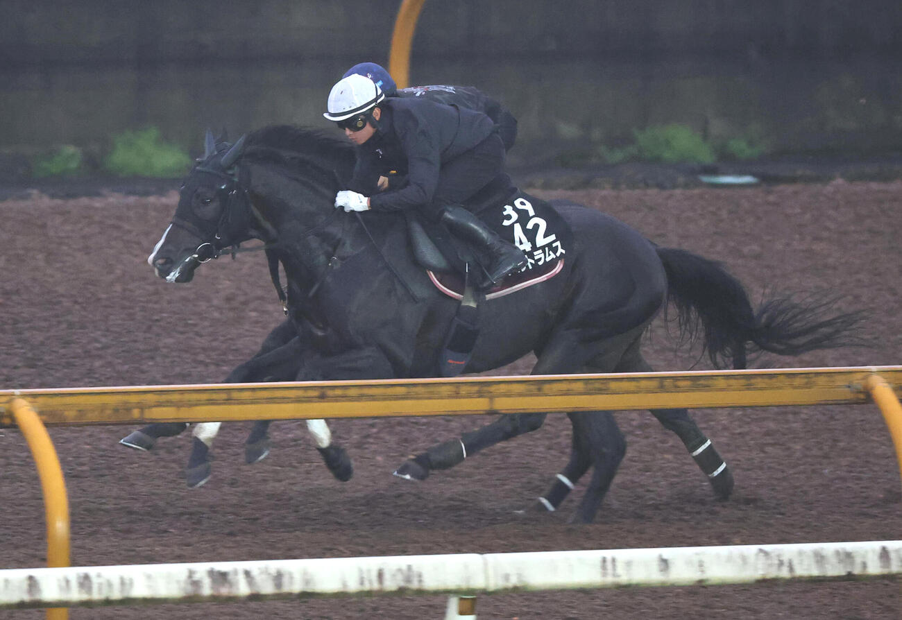 9日、1週前追い切りを行うアルトラムス