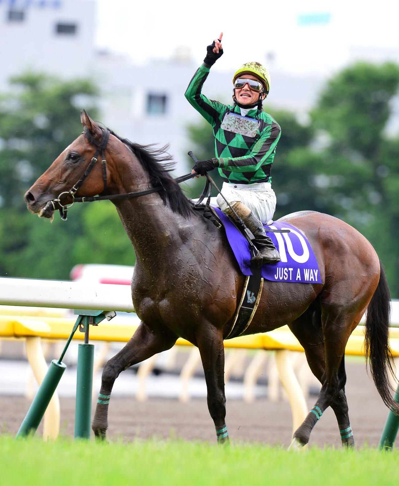 14年6月8日、ジャスタウェイで安田記念を制した柴田善騎手は1番ポーズでファンの声援に応える