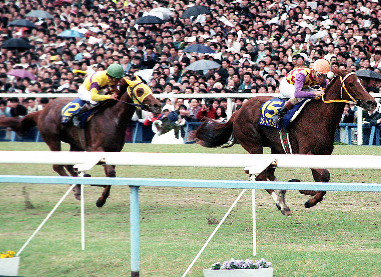 91年桜花賞2着に入った柴田善臣騎乗のヤマノカサブランカ（左）。右は勝ったシスタートウショウ